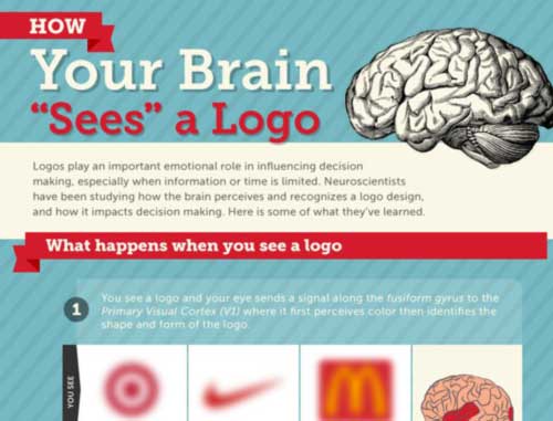 Your Brain on Logos: What Neuroscience Tells Us about Logo Design
